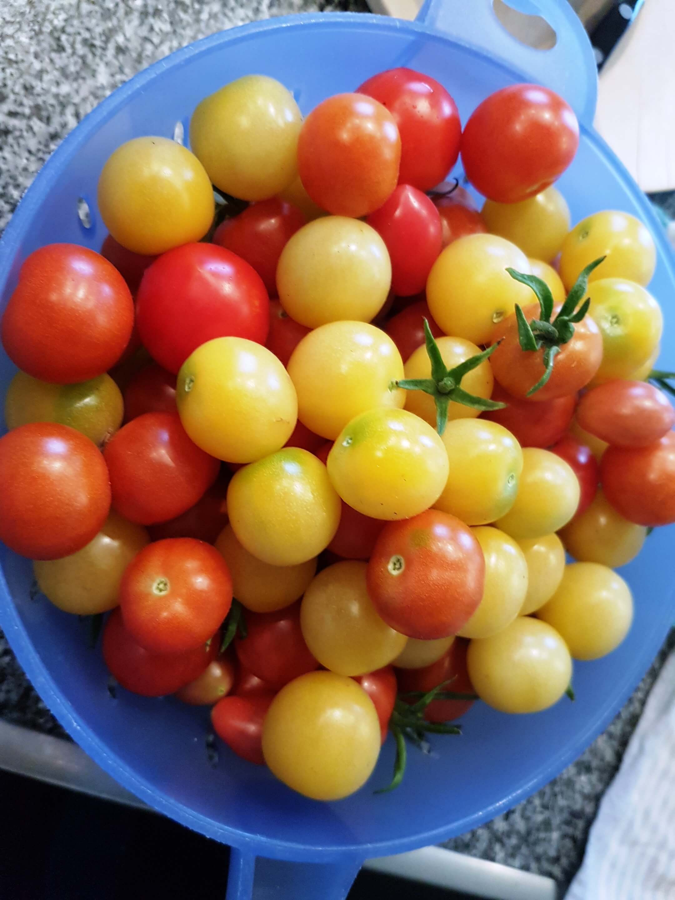 Tomaten einlegen auf italienische Art in