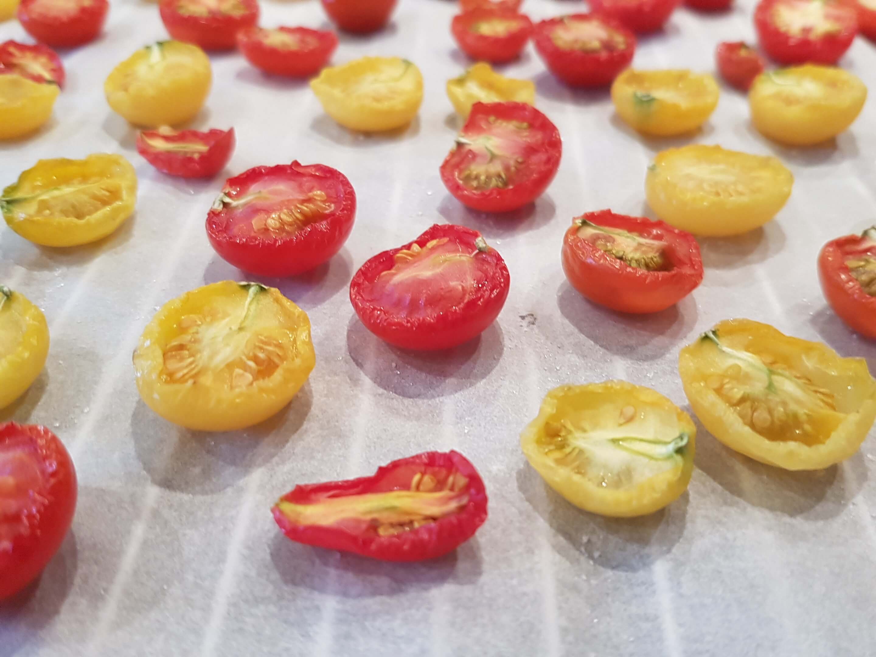 Getrocknete Tomaten einlegen - auf italienische Art in Olivenöl